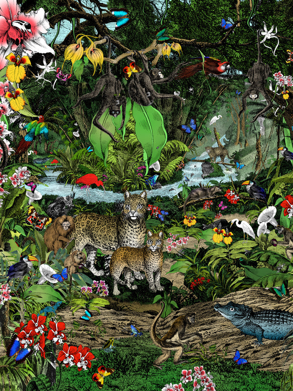 The Amazon Rain Forest Wall Mural - Kristjana S Williams Studio