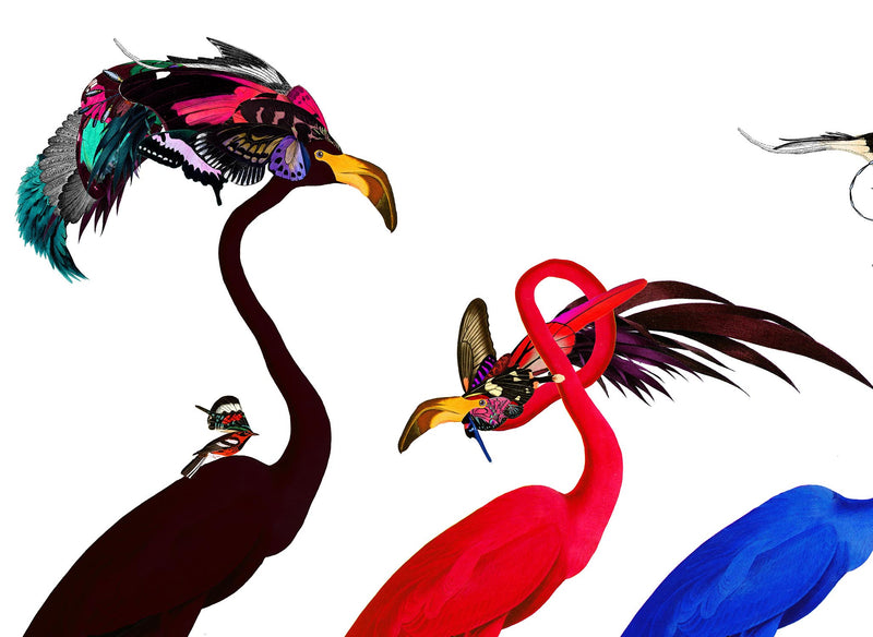 Andy Audebon Primary - Art Print - Kristjana S Williams Studio