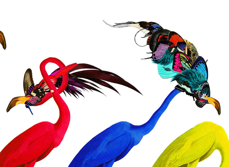 Andy Audebon Primary - Art Print - Kristjana S Williams Studio