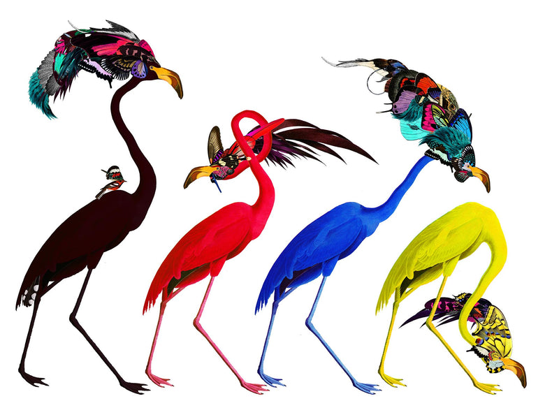 Andy Audebon Primary - Art Print - Kristjana S Williams Studio