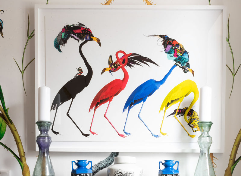 Andy Audebon Primary - Art Print - Kristjana S Williams Studio