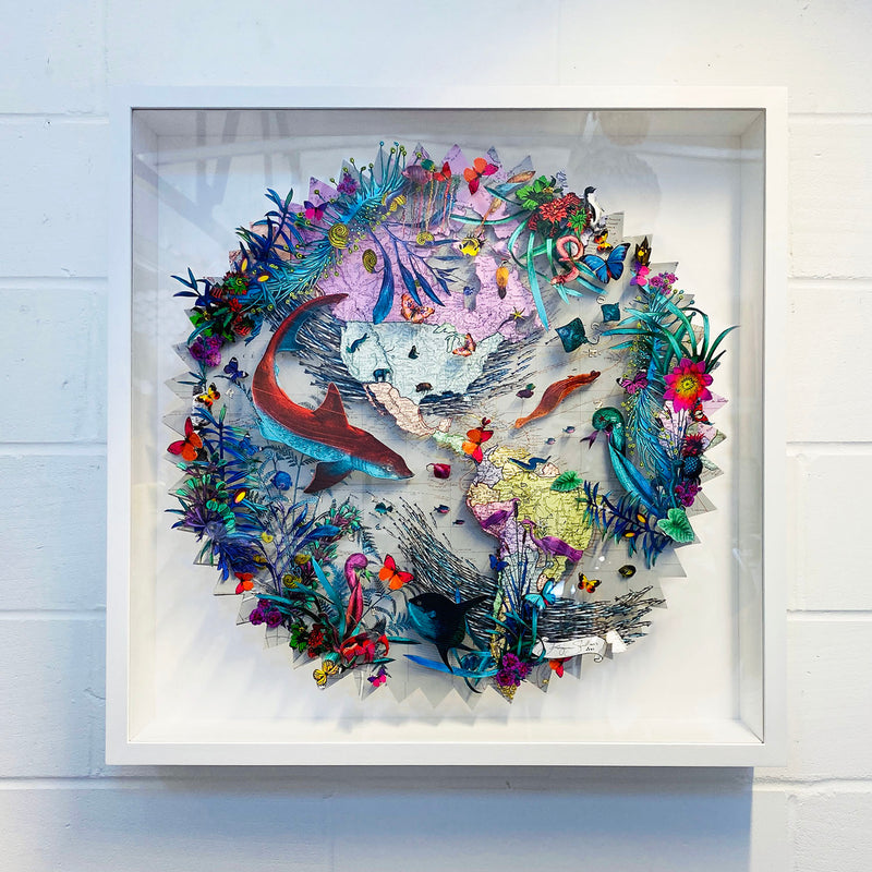 Circular Silvery Saer - Blacktip Shark - Original Artwork 2021 - Kristjana S Williams Studio