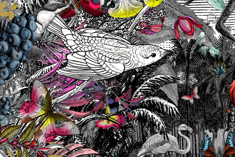 Columbian Jungle - Art Print - Kristjana S Williams Studio