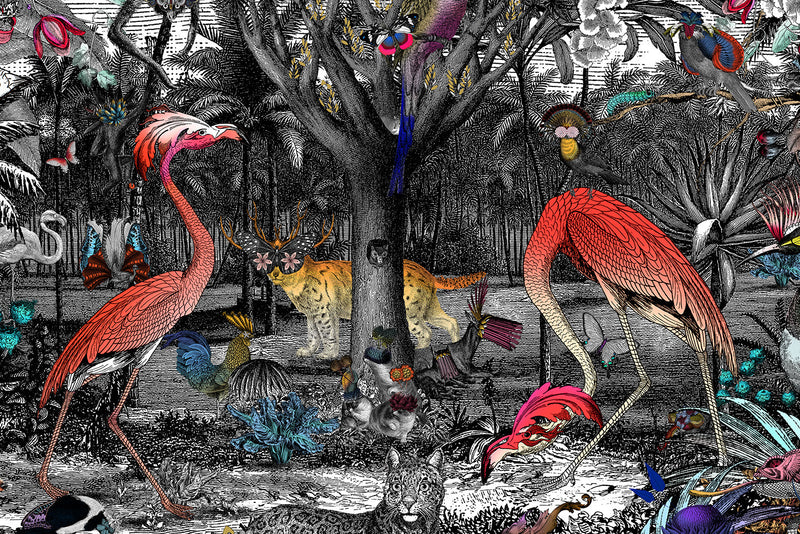Columbian Jungle - Art Print - Kristjana S Williams Studio
