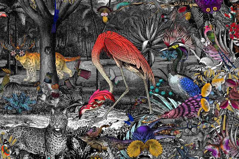 Columbian Jungle - Art Print - Kristjana S Williams Studio