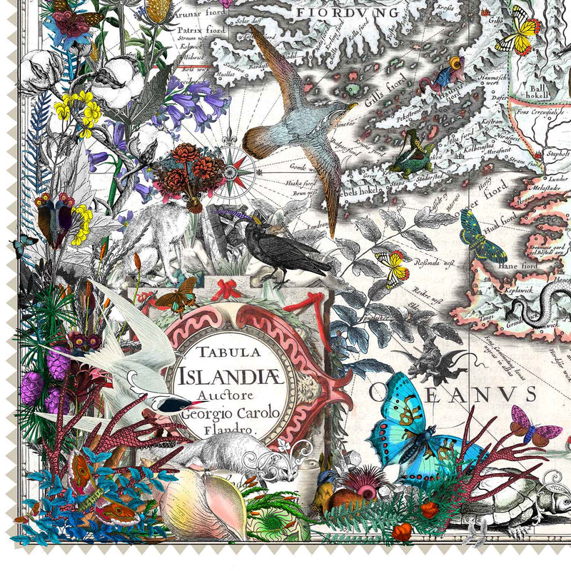 Eldgamla Isafold - Fannhvitt Iceland Map - Art Print - Kristjana S Williams Studio
