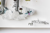 Ferðamannagrind - Still Skeleton - Original Artwork Series 2021 - Kristjana S Williams Studio