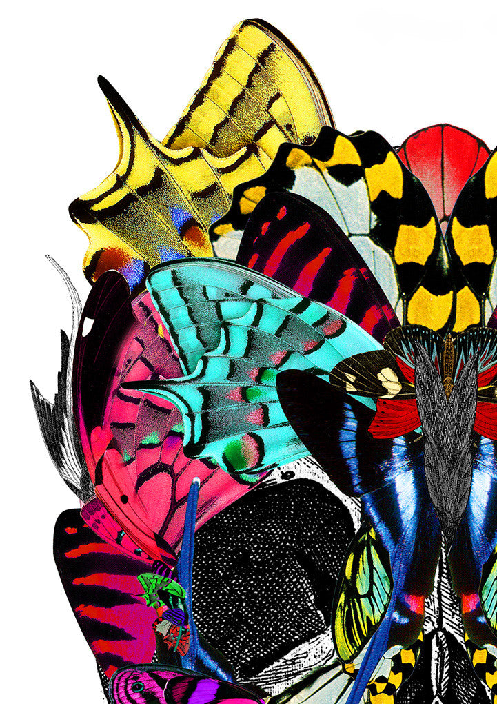 Fidrilda Kupa - Art Print - Kristjana S Williams Studio