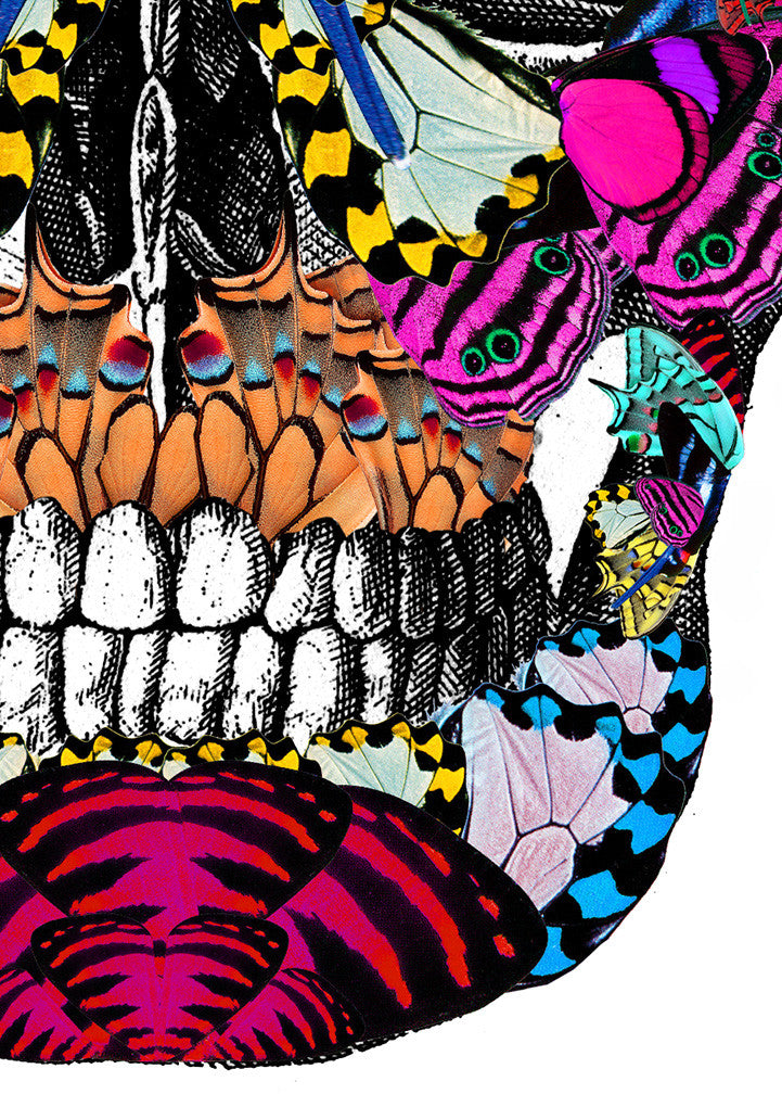 Fidrilda Kupa - Art Print - Kristjana S Williams Studio