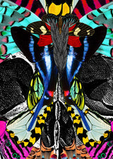 Fidrilda Kupa - Art Print - Kristjana S Williams Studio