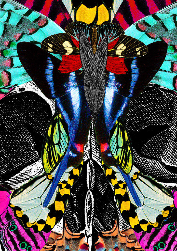 Fidrilda Kupa - Art Print - Kristjana S Williams Studio