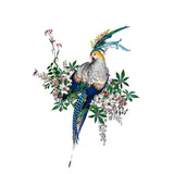 Flora & Fauna Lear - Crystal Blue - Art Print - Kristjana S Williams Studio
