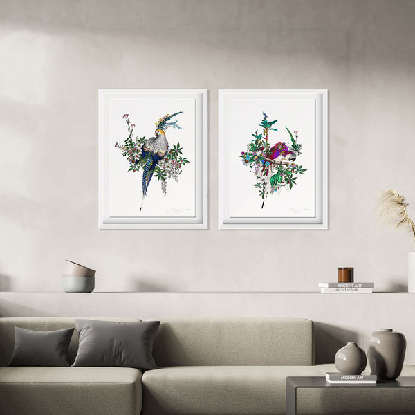 Flora & Fauna Lears - Art Print Collection - Kristjana S Williams Studio