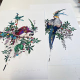 Flora & Fauna Lears - Art Print Collection - Kristjana S Williams Studio