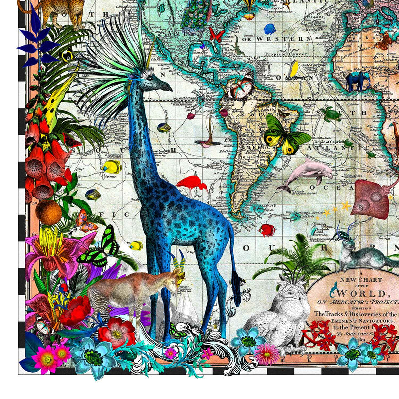 Giraffa Discoveries Of The World - Art Print - Kristjana S Williams Studio