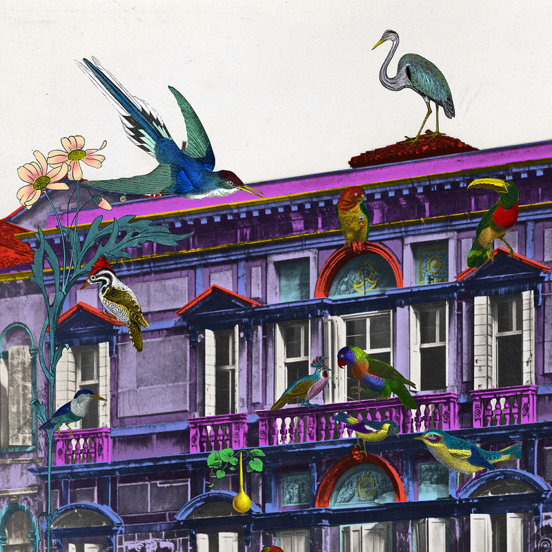 Gli Uccelli Violet Setur - Art Print - Kristjana S Williams Studio