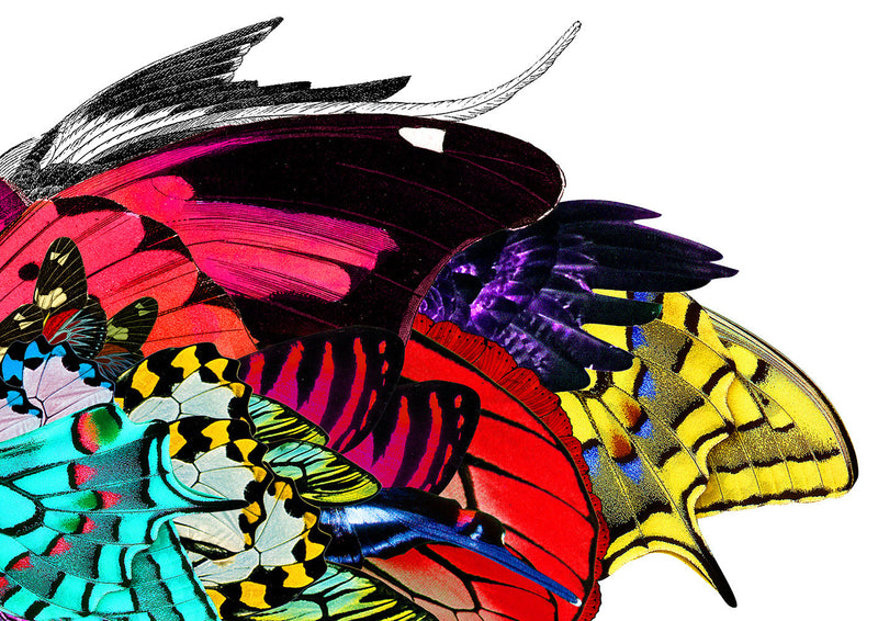 Hlidar Fidrilda Kupa - Art Print - Kristjana S Williams Studio