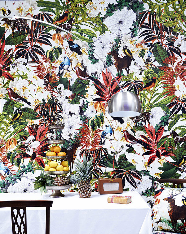 House Plant Wallpaper - Kristjana S Williams Studio
