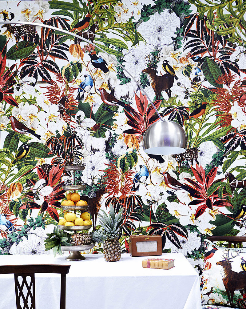 House Plant Wallpaper - Kristjana S Williams Studio