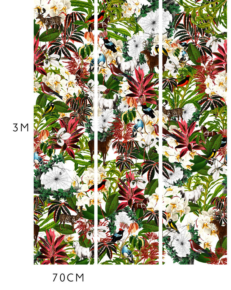 House Plant Wallpaper - Kristjana S Williams Studio