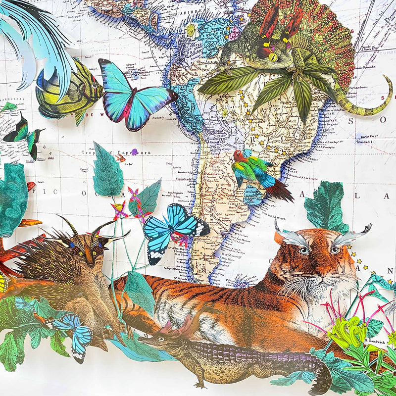 Emerald Equator - Safír Hammerhead Shark - Original 2022 - Kristjana S Williams Studio