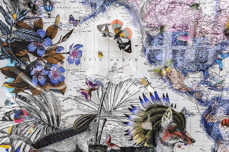 Heimshorna Fox World Map - Original Artwork 2021 - Kristjana S Williams Studio