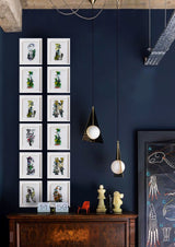 Letter Spectrum Bokstafir - A5 size - Art Print - Kristjana S Williams Studio
