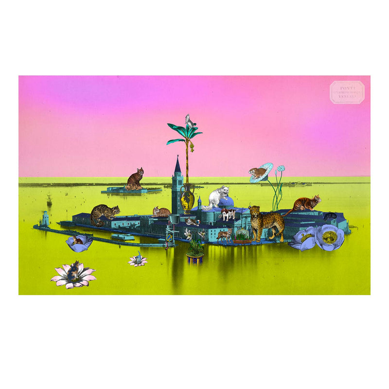 Luminous Gatti Eyja - Art Print - Kristjana S Williams Studio