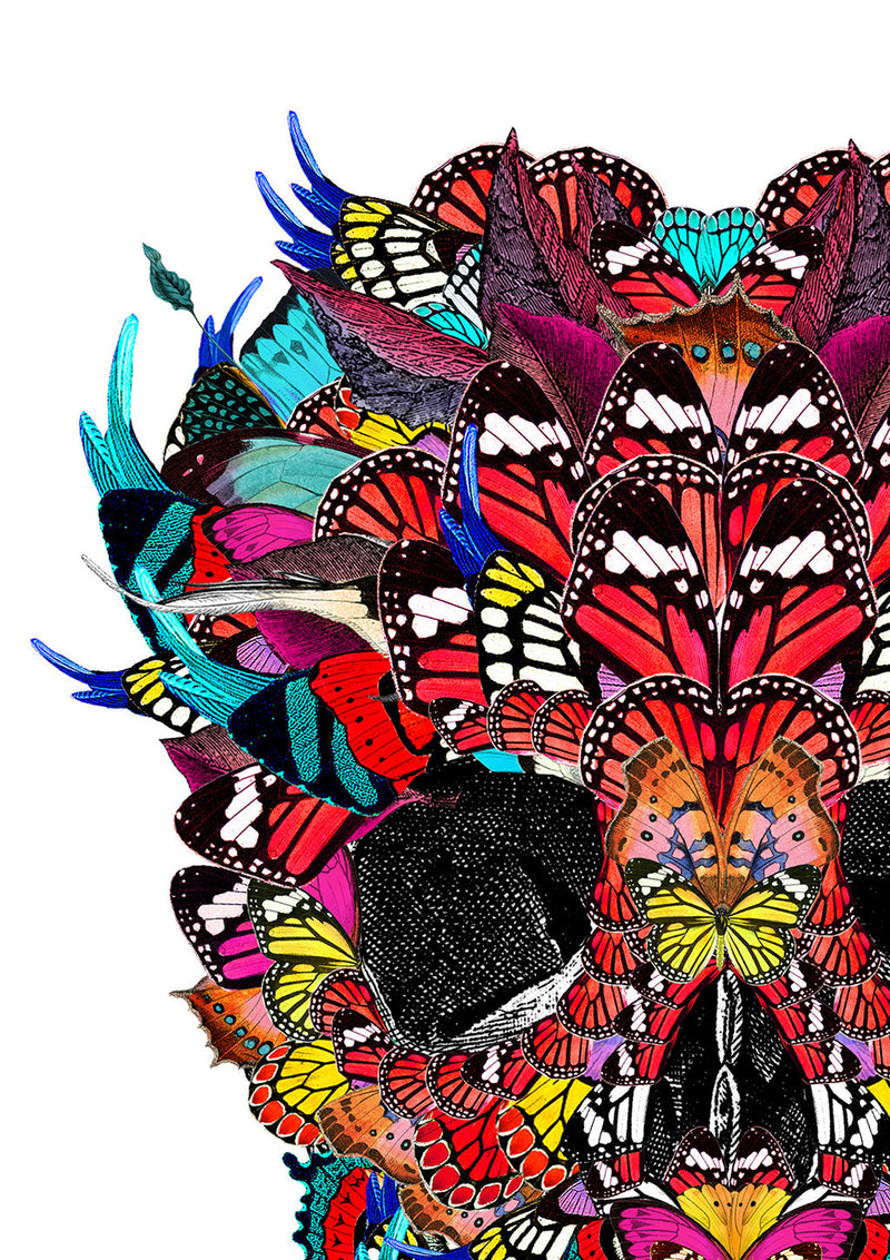 McQueen Kupa in Mexico - Art Print - Kristjana S Williams Studio