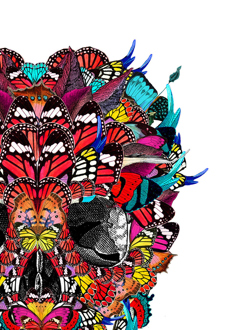 McQueen Kupa in Mexico - Art Print - Kristjana S Williams Studio