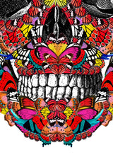 McQueen Kupa in Mexico - Art Print - Kristjana S Williams Studio