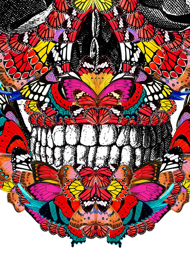 McQueen Kupa in Mexico - Art Print - Kristjana S Williams Studio