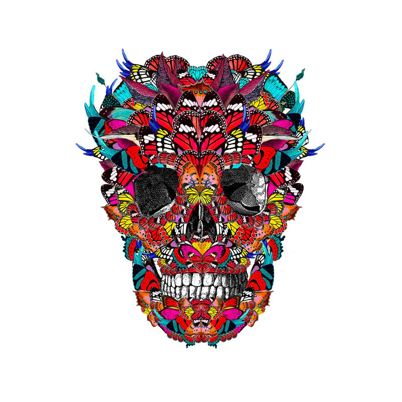 McQueen Kupa in Mexico - Art Print - Kristjana S Williams Studio