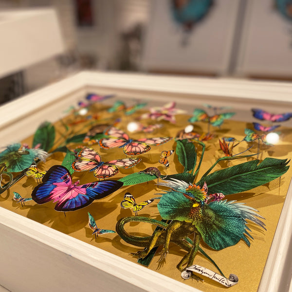 Specimen Tray II - Bleika Herbalist Healing Map - Original Artwork 2022 - Kristjana S Williams Studio