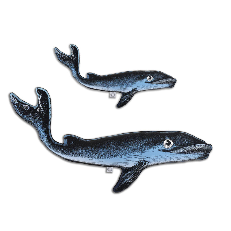 Minke Whale - Shaped Cushion - Kristjana S Williams Studio