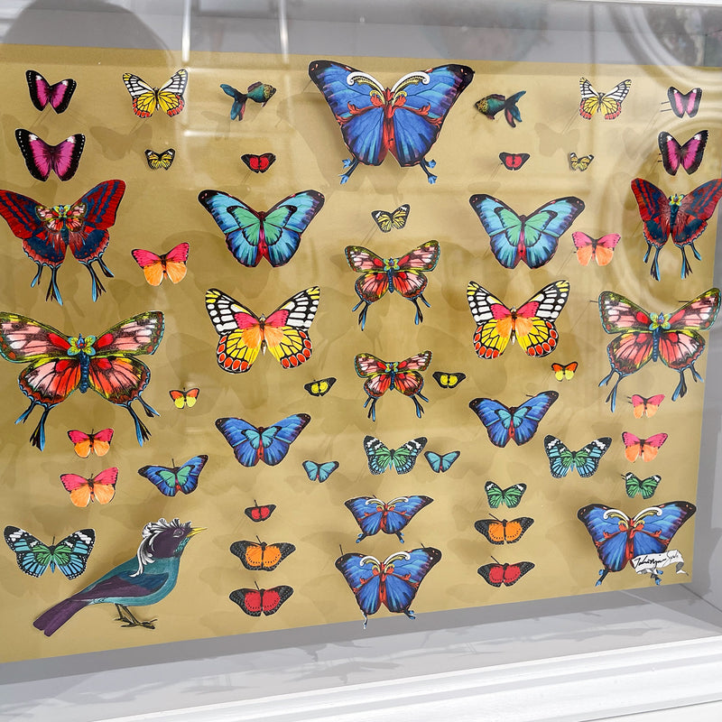Specimen Tray - Songbird - Mini Original 3D Artwork - Kristjana S Williams Studio