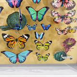 Specimen Tray - Peacock - Mini Original 3D Artwork - Kristjana S Williams Studio