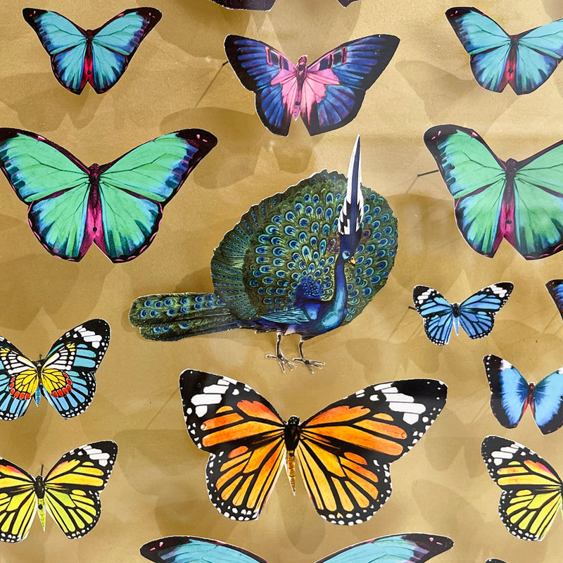 Specimen Tray - Peacock - Mini Original 3D Artwork - Kristjana S Williams Studio