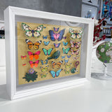 Specimen Tray - Peacock - Mini Original 3D Artwork - Kristjana S Williams Studio