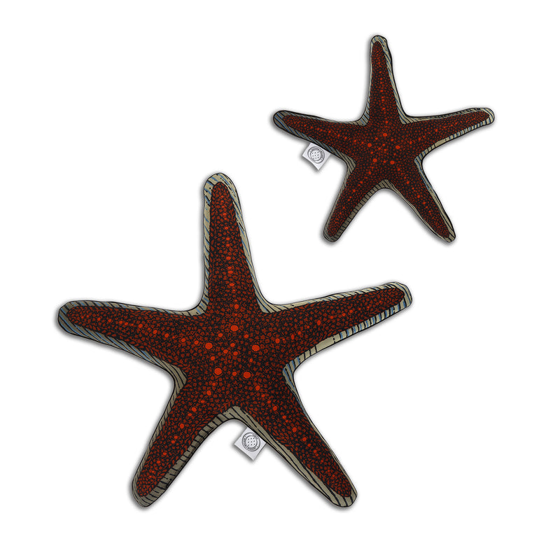 Spotted Sea Star - Shaped Cushion - Kristjana S Williams Studio