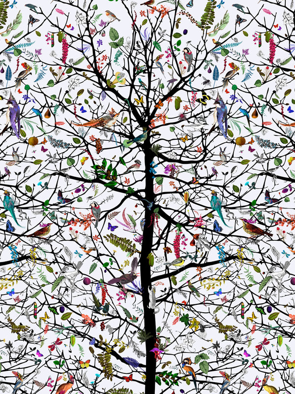 Tree Of Life Wallpaper / Wall Mural - Kristjana S Williams Studio