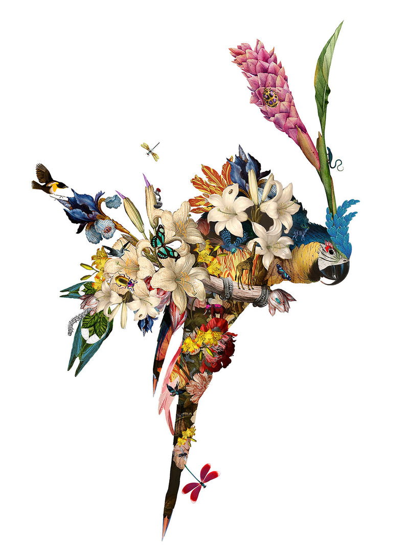 The Flower House Lear - Art Print Collection - Kristjana S Williams Studio
