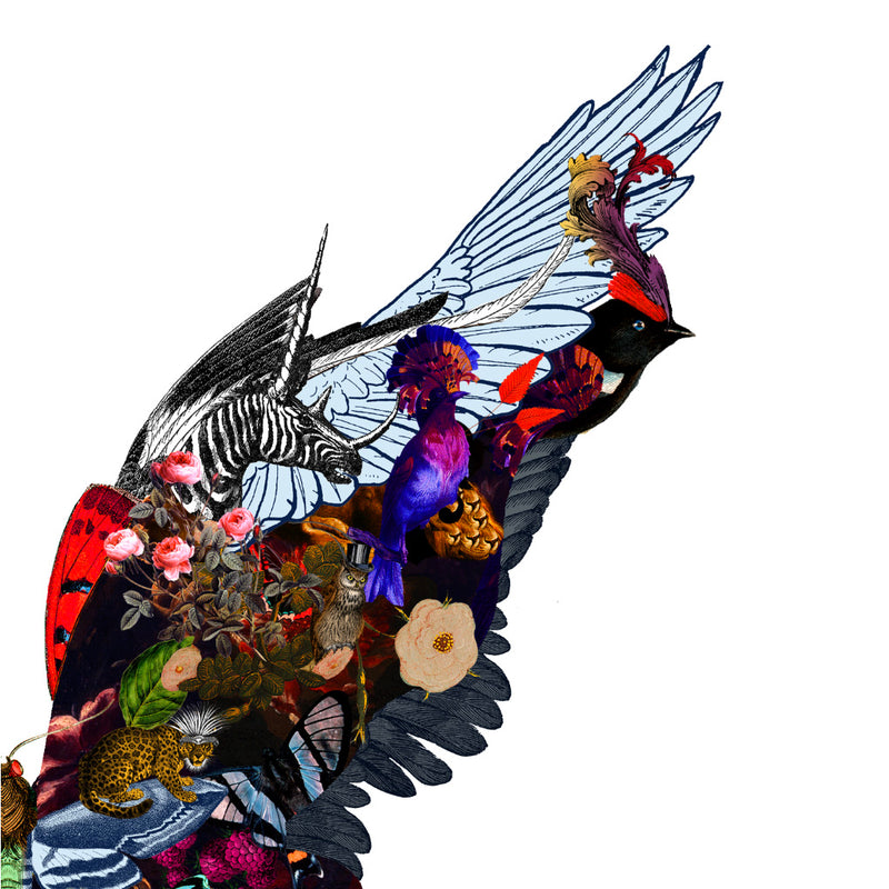 The Voyager Butterfly - Art Print - Kristjana S Williams Studio