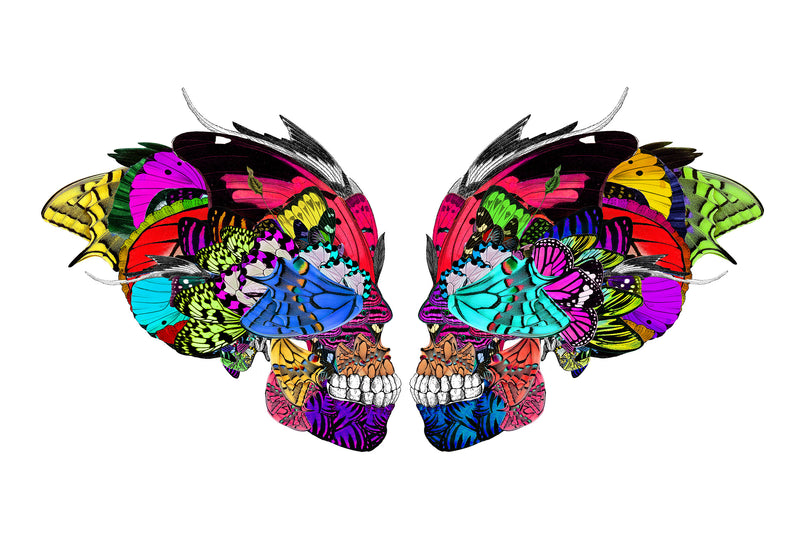 Undir fjogur Augu Skulls - Art Print - Kristjana S Williams Studio