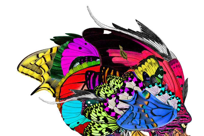 Undir fjogur Augu Skulls - Art Print - Kristjana S Williams Studio