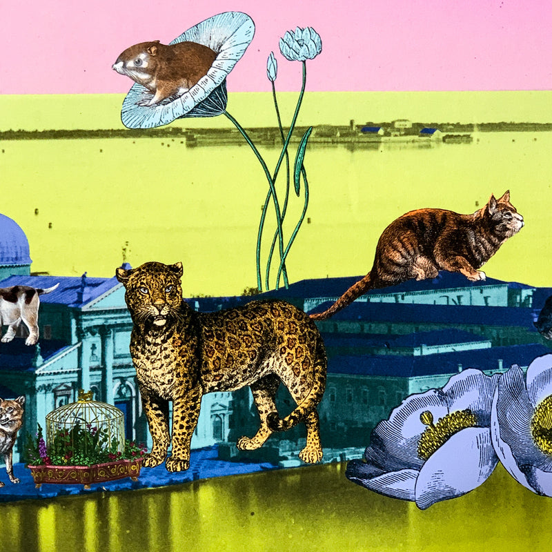 Luminous Gatti Eyja - Art Print - Kristjana S Williams Studio