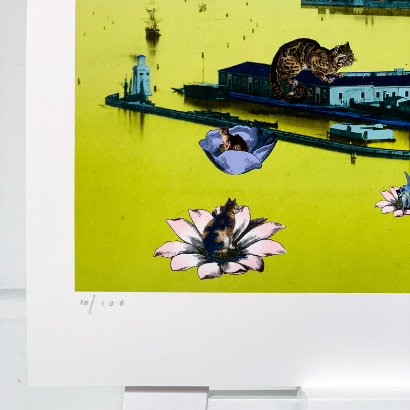 Luminous Gatti Eyja - Art Print - Kristjana S Williams Studio