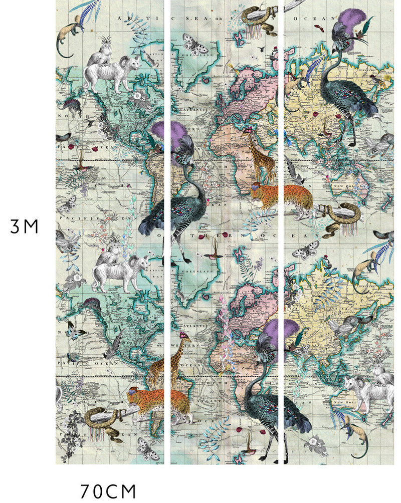 World Map Animal Light Wall Mural - Kristjana S Williams Studio