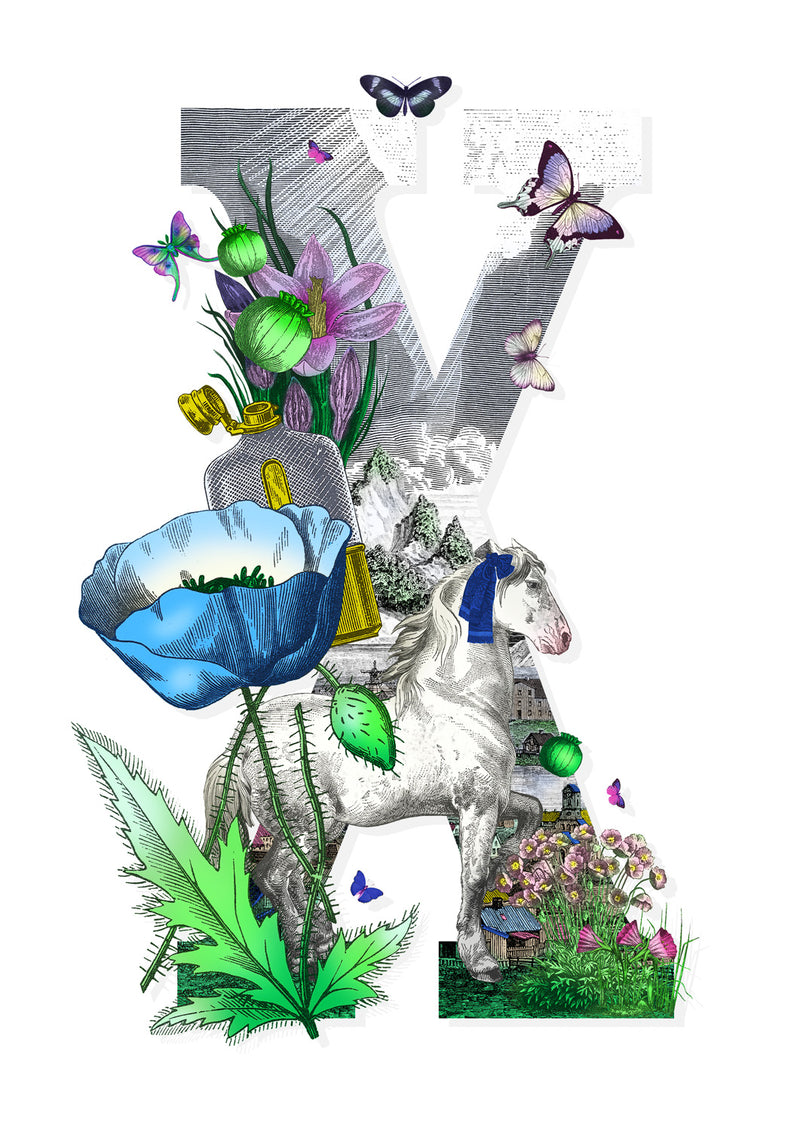 Letter Spectrum Bokstafir - A5 size - Art Print - Kristjana S Williams Studio