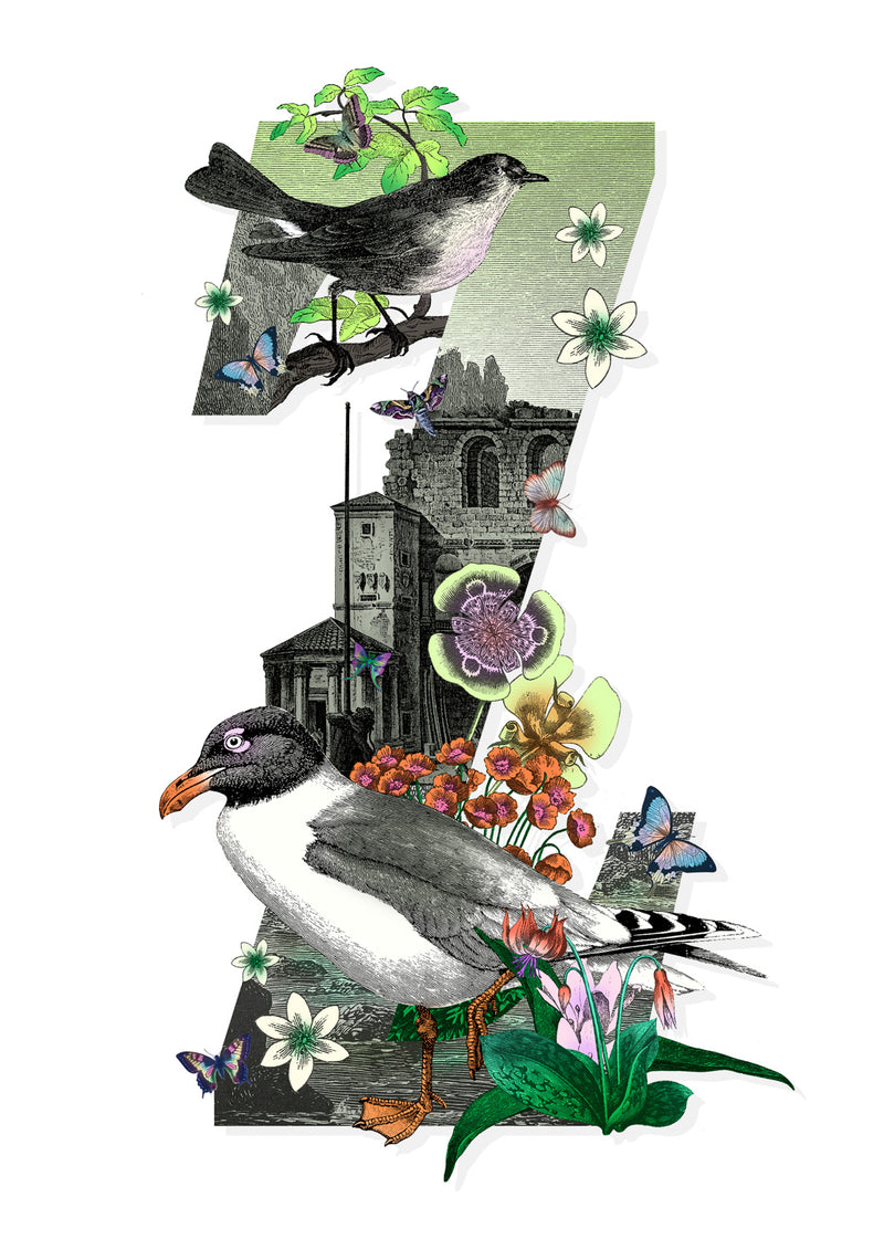 Letter Spectrum Bokstafir - A5 size - Art Print - Kristjana S Williams Studio